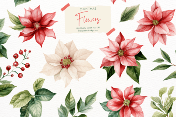 Christmas Flower Clipart for Modern Illustrations